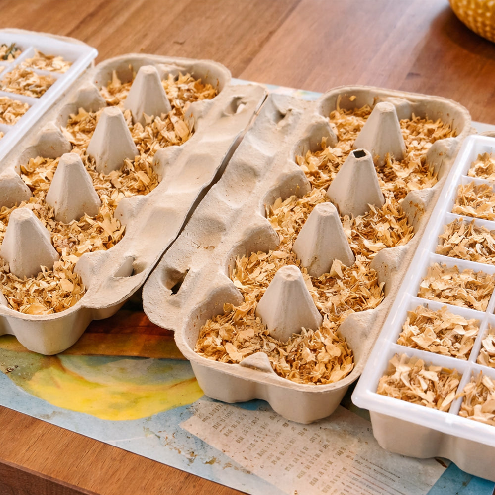 Zelf aanmaakblokjes maken met houtkrullen en eierdozen