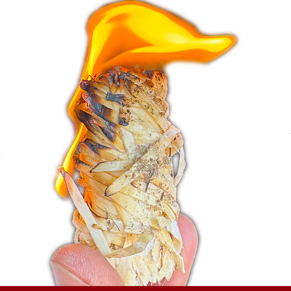 Brandende aanmaakkrul van STOCERS