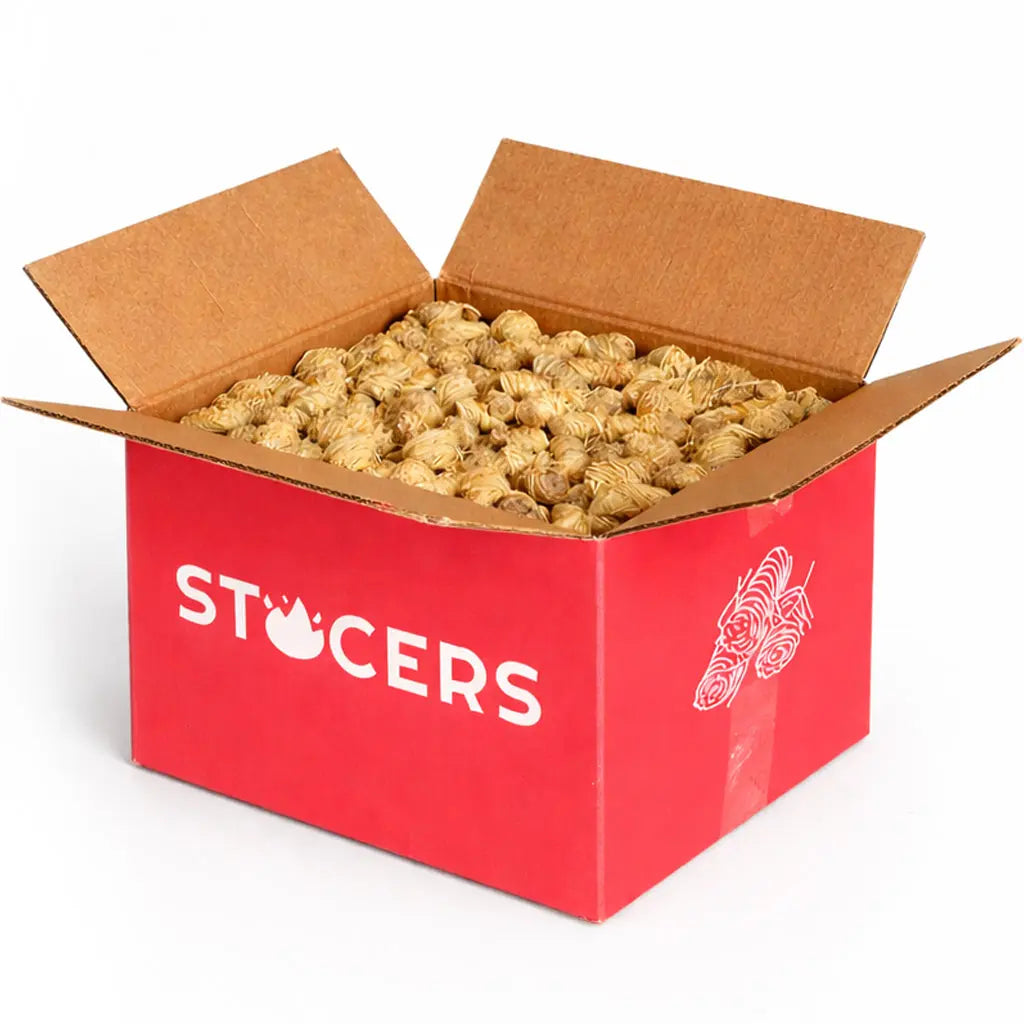 Kleine doos aanmaakkrullen van STOCERS